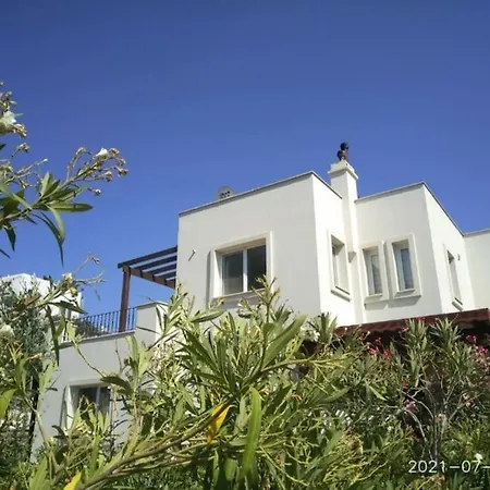 Apartment Summer House